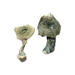 ken carson mdma​
