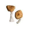 where can i get mdma-assisted therapy​